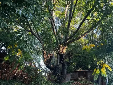 Terreno en Venta en Pilar Centro, USD 32.000