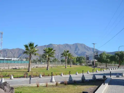 Avenida Champagnat 2500