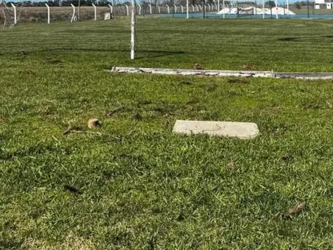 Terreno en venta - 747.92Mts2 - La Victoria, General Madariga