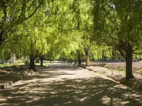 Terreno en Venta en Las Heras, USD 26.000