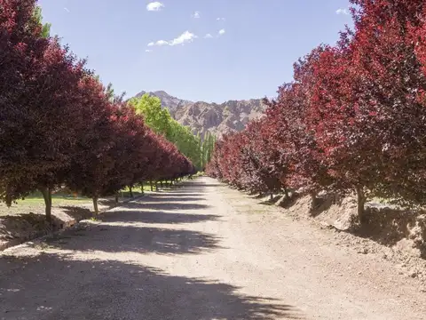 Terreno en Venta en Las Heras, USD 26.000