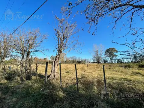 San luis gonzaga y san francisco de asis