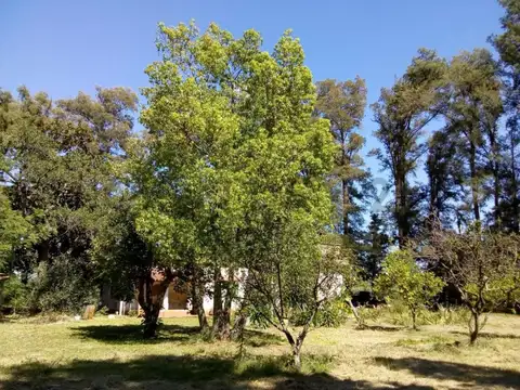 Campo en Venta de 8,60  ha