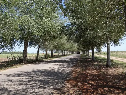 VENTA DE TERRENO EN OLIVEROS BARRIO VILLA ELENA