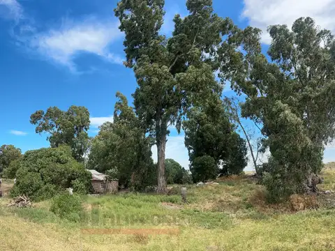 Campo ganadero y turístico de 1600has con costa de mar en venta