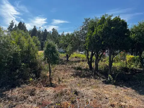 Terreno en Venta de 600,0 m2