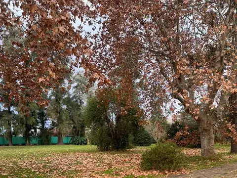 Terreno en Venta de 10908,0 m2