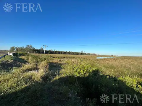 RUTA PROVINCIAL 6  - CAMPO CORRIENTES