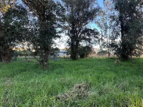 Calle 483 entre calle 40 y 42