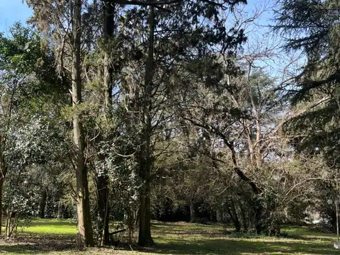 Miguel de Unamuno 5000