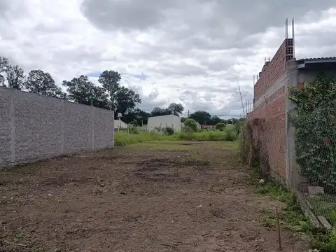 Cerrillos. Santa María de los Nogales. Lote 11 H