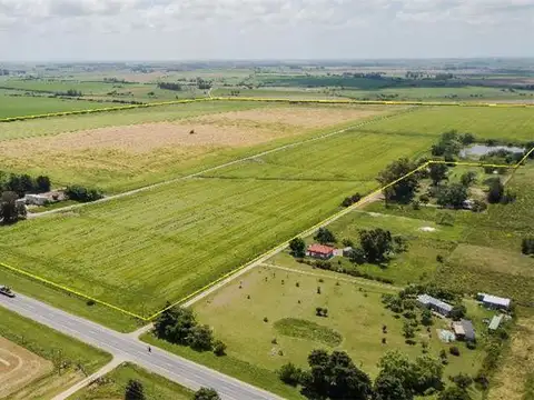 Campo en Venta de 160  ha