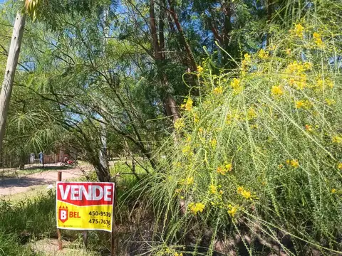 San Salvador entre Av. San Martín y Arbo y Blanco