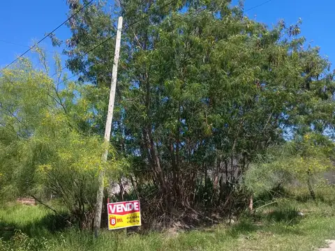 San Salvador entre Av. San Martín y Arbo y Blanco