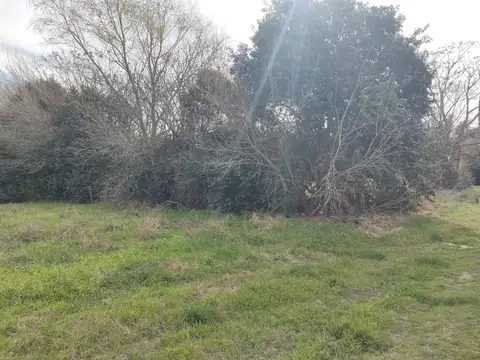 Terreno en Venta en Villa Amelia, USD 22.000