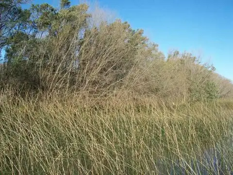 Casa en Venta en Delta del Tigre, USD 190.000