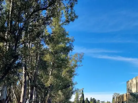 Terreno en Venta en Pilar Del Este, USD 44.000