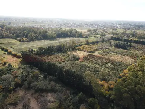 Terreno en Venta de 10040,0 m2