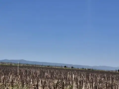 Ruta Provincial S376 100