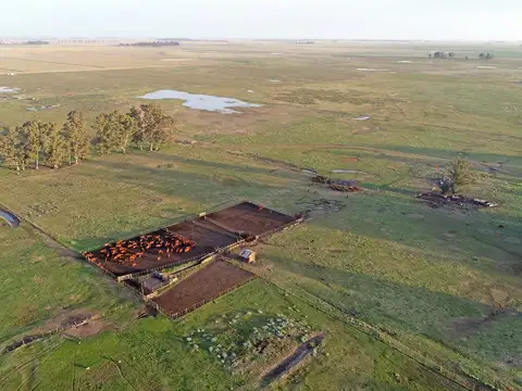 Loberia 1152 has. Mixto sobre ruta