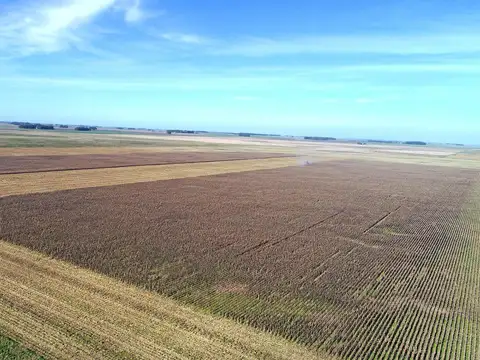 Loberia 1152 has. Mixto sobre ruta