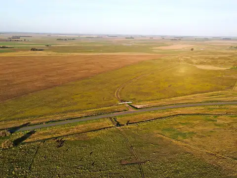 Loberia 1152 has. Mixto sobre ruta