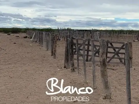 Campo  en Venta en Santa Isabel, Chalileo, La Pampa