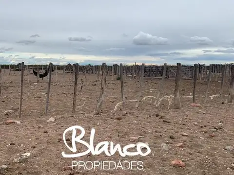 Casa en Venta en Santa Isabel, USD 1