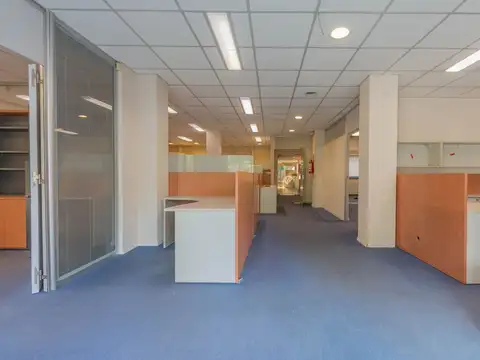 Virrey del Pino 2400