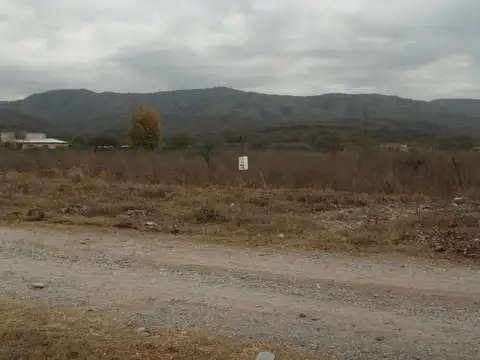 Terreno en Venta 43,50  mts Frente