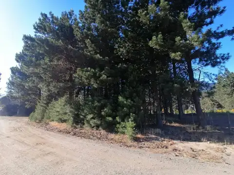 VENTA - LOTE EN EL PORTAL - SAN MARTIN DE LOS ANDES