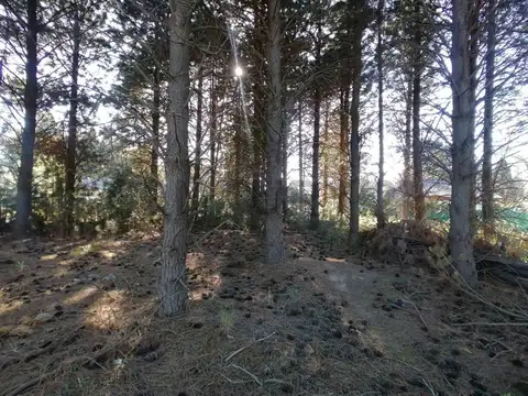 Terreno en Venta de 933,0 m2