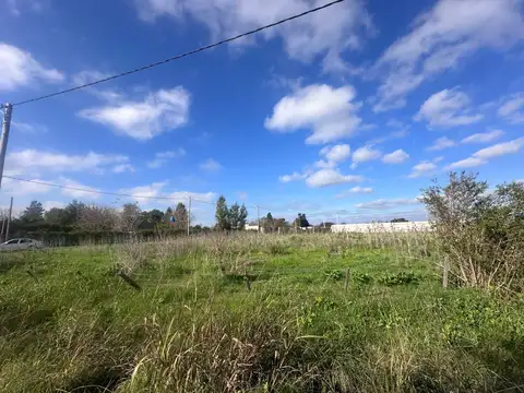 Cecilio Manchi - Calle 35