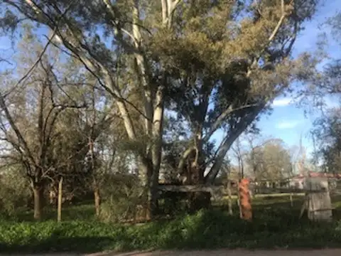 Terreno en Venta de 2162,0 m2