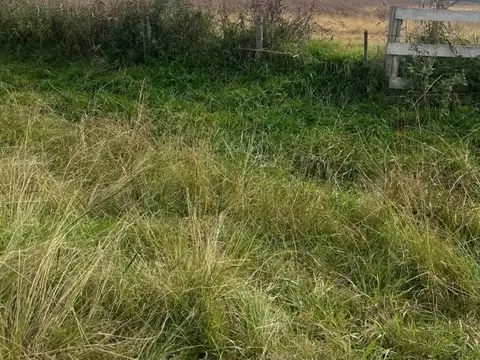 Campo General Rodriguez