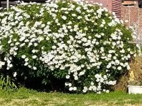 Terreno en Venta 32  mts Fondo