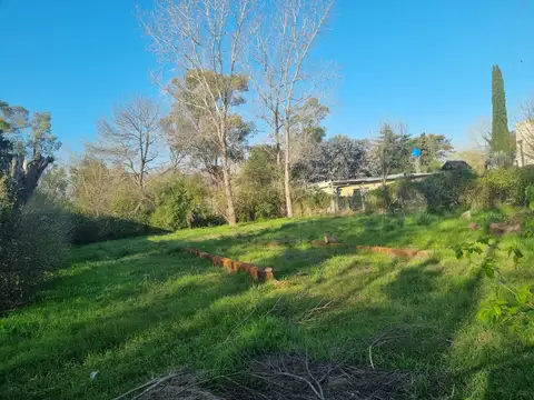 B. LOS PIONEROS CALLE MANCICID