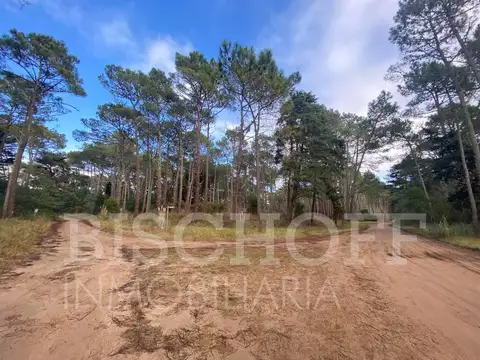 LOTE EN CARILO BARRIO ZORZAL CON PROYECTO Y PLANOS APROBADOS