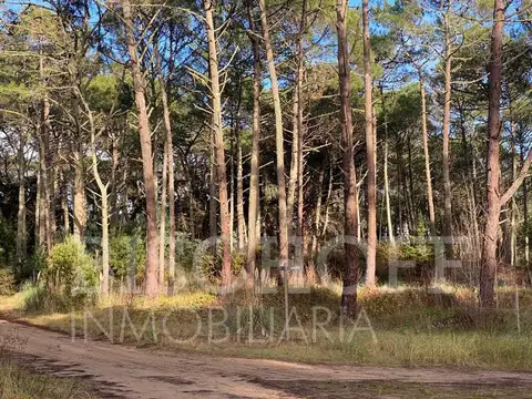 Terreno en Venta de 1418,0 m2