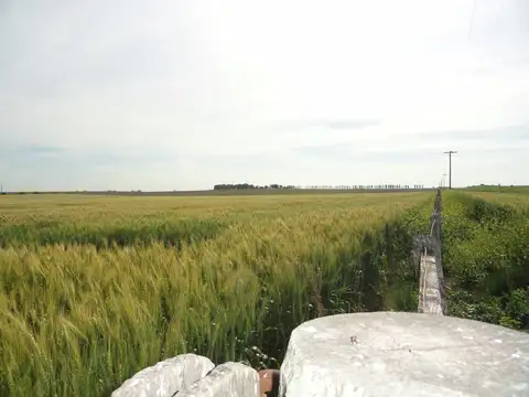 Camino Rojas- Gualeguaychú 100