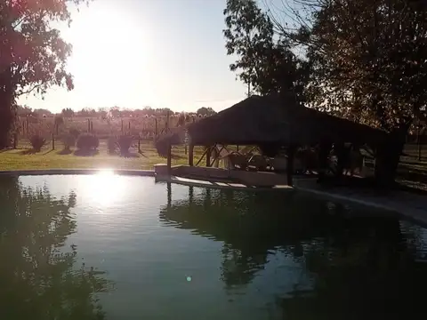 Terreno en Venta de 910,0 m2