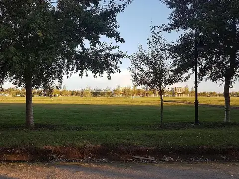 Terreno en Venta 20  mts Fondo