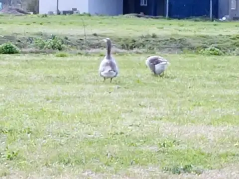 Ruta 58 KM 14 al 100