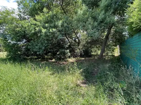 Terreno en Venta 20  mts Frente