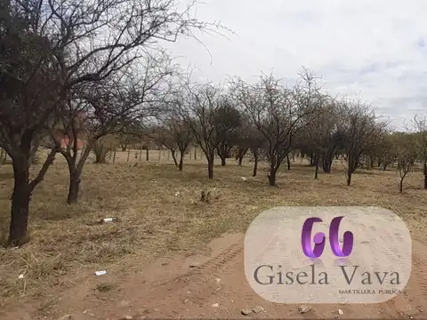 CUESTA DE LOS MOLLES