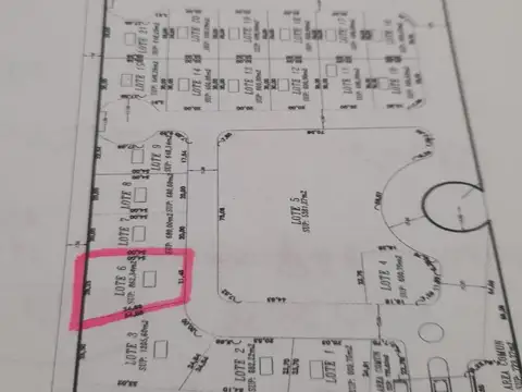 Calle Carola Lorenzini 4600