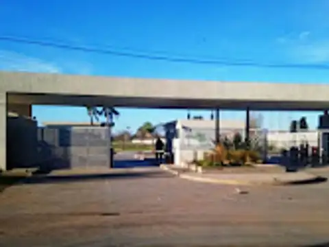 Calle Carola Lorenzini 4600