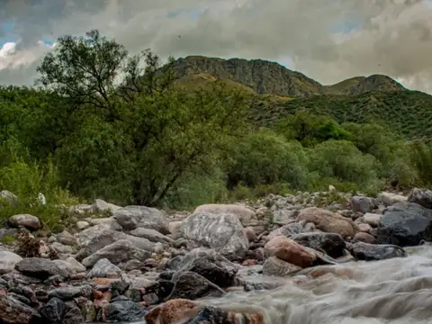 Intendente Juan Cabus 1000