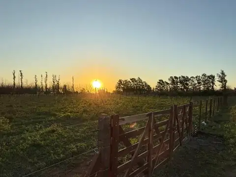 Venta Terreno / Lote Diego Gaynor lotes 820 m2.