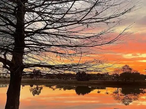 Terreno en Venta de 878,0 m2